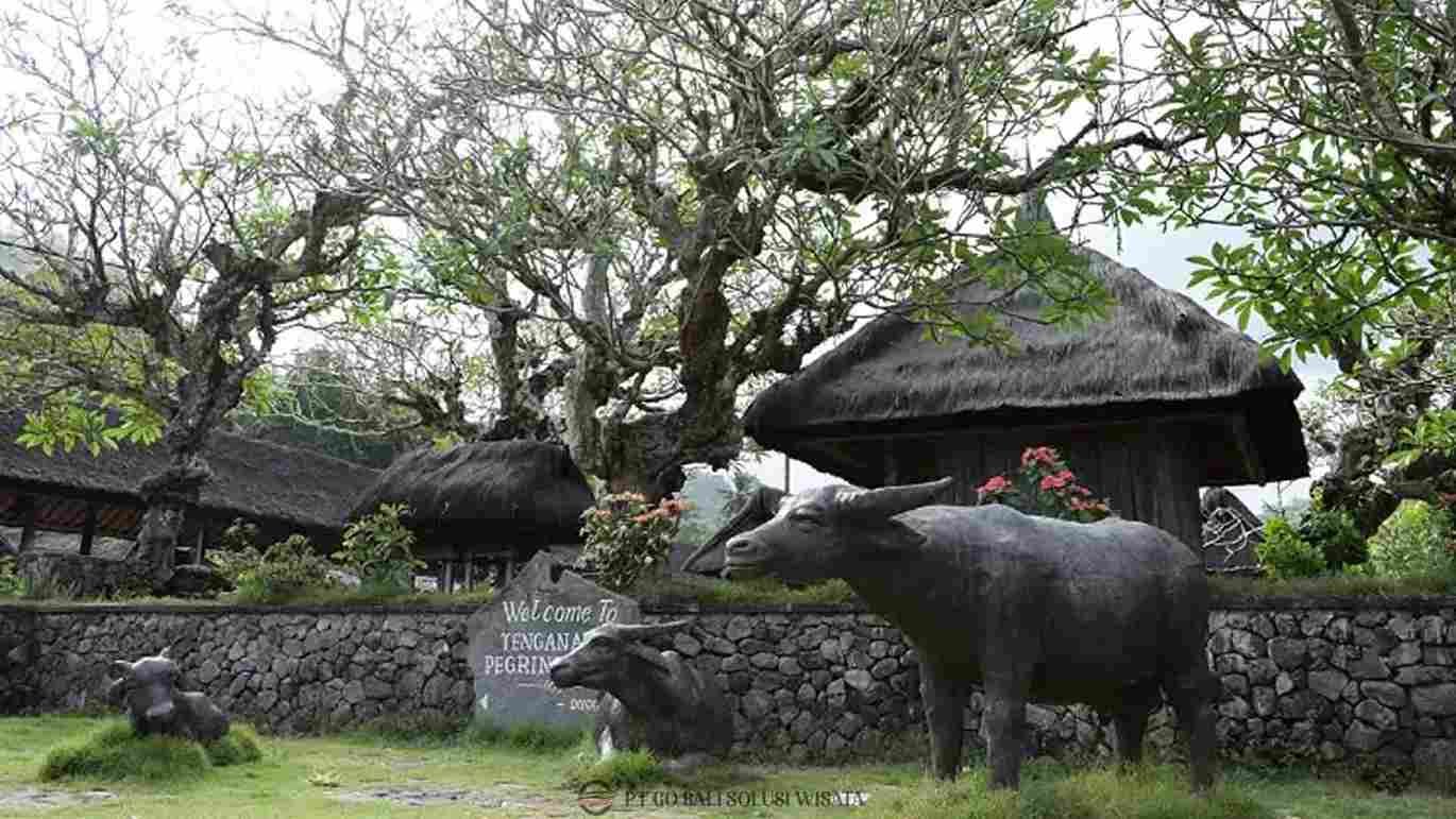 Warga Desa Tenganan Bali Aga dengan tenun geringsing, desa tradisional Bali yang mempertahankan adat kuno
