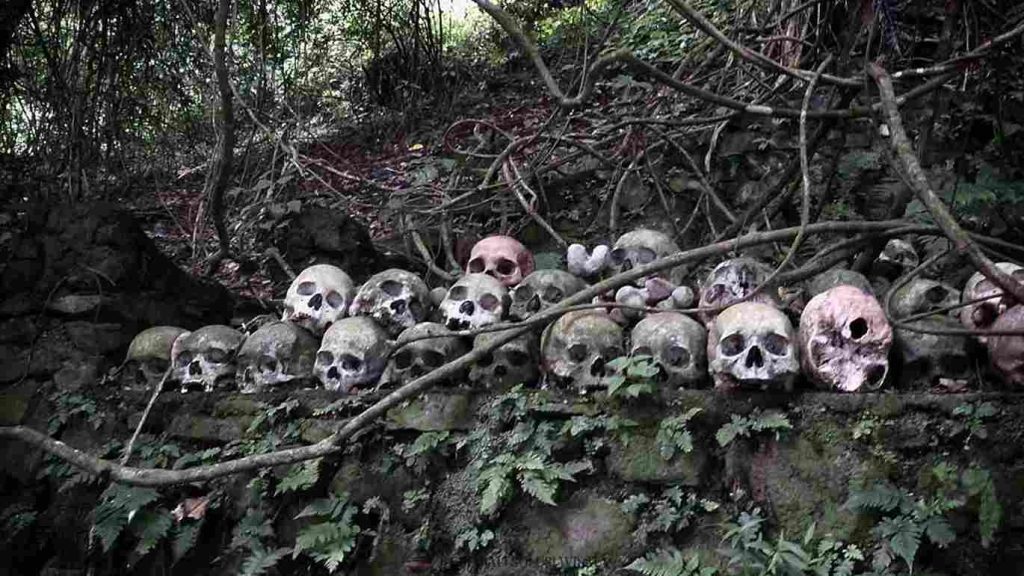 Desa Trunyan di tepi Danau Batur, Bali, dengan tradisi unik dan pemandangan alam yang memesona